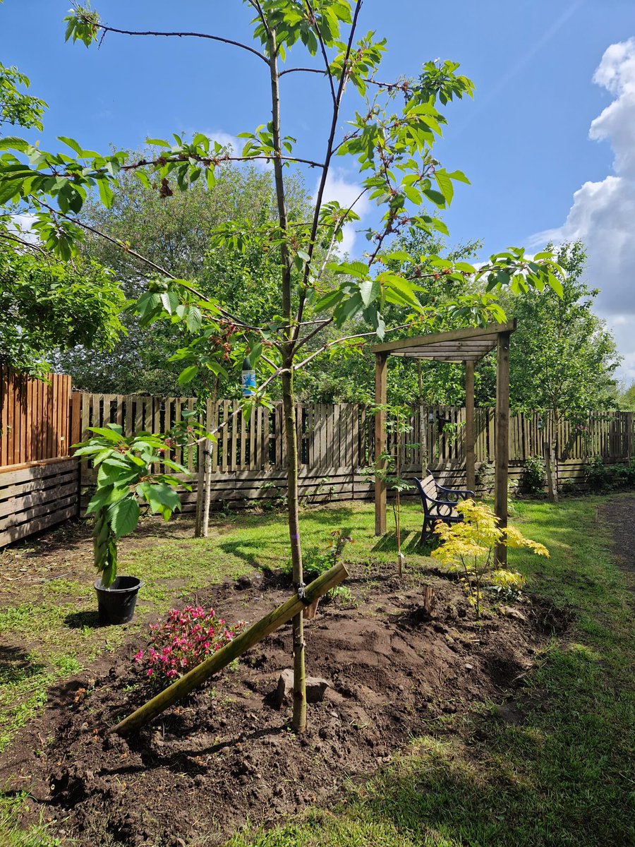 🧑‍🌾 𝗚𝗮𝗿𝗱𝗲𝗻𝗶𝗻𝗴 𝗖𝗹𝘂𝗯

🪴 Join us in our Community garden at Robin Park Arena every Friday 10am – 12pm. Last week we planted wild flower seeds, we can’t wait to see them grow!

#WWRL