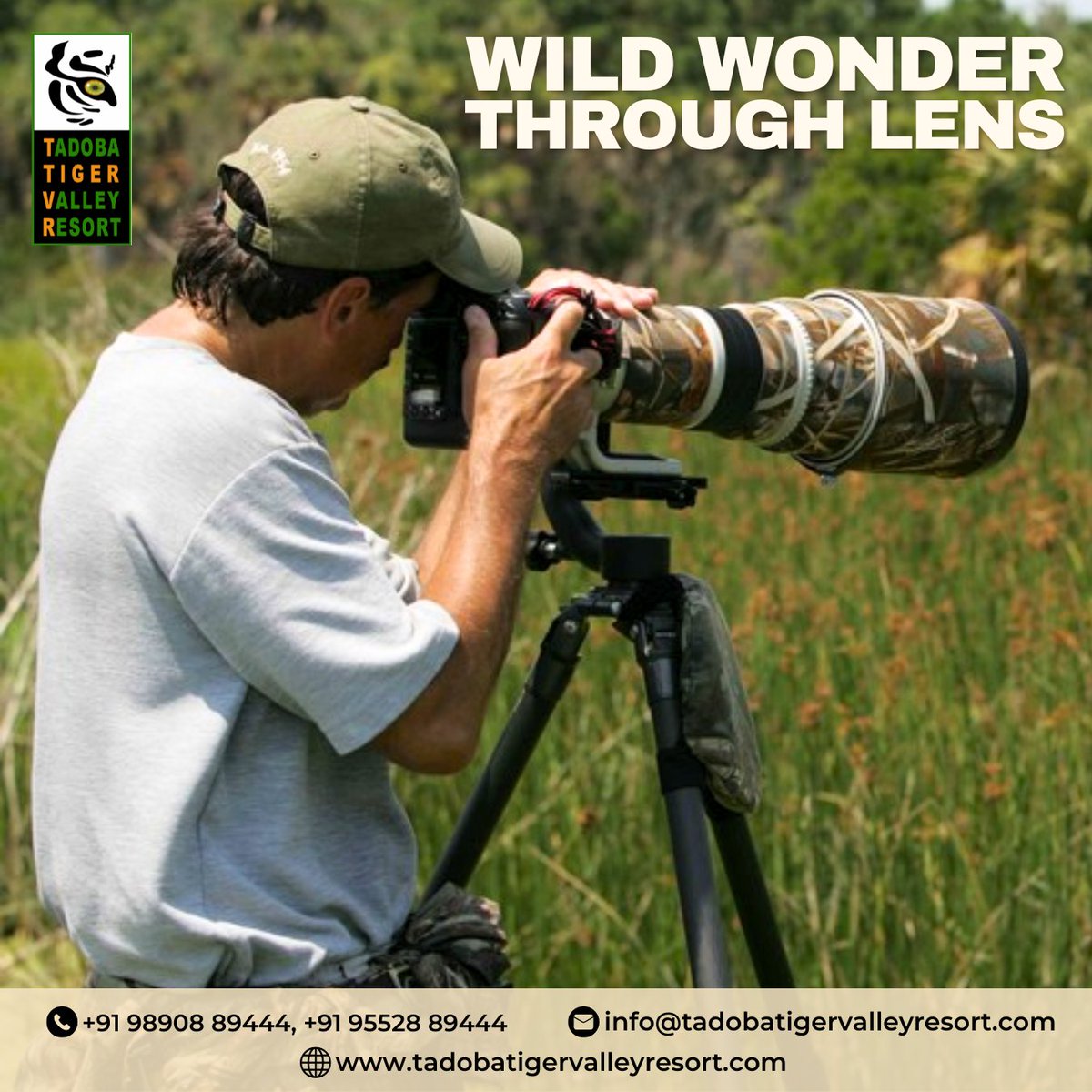 Tadoba: Nature's Canvas. Unleash your creativity, capture the essence of wildlife, and explore the captivating landscapes of Tadoba. Join us on a photography adventure like no other. #tadobatigervalley #TadobaNationalPark #PhotographyParadise