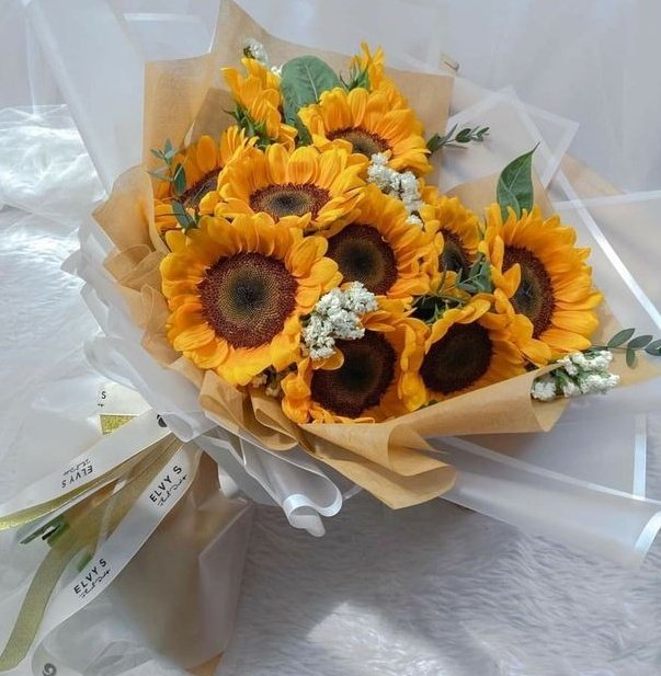 sunflowerchives's tweet photo. sunflower lover🌻 https://t.co/NXU6PYmLbO