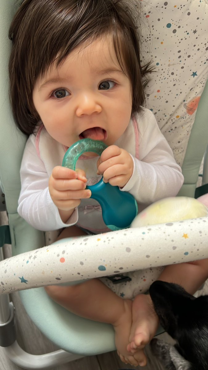 ilanit_94's tweet photo. 🥰 https://t.co/bS8n5M3eCx
