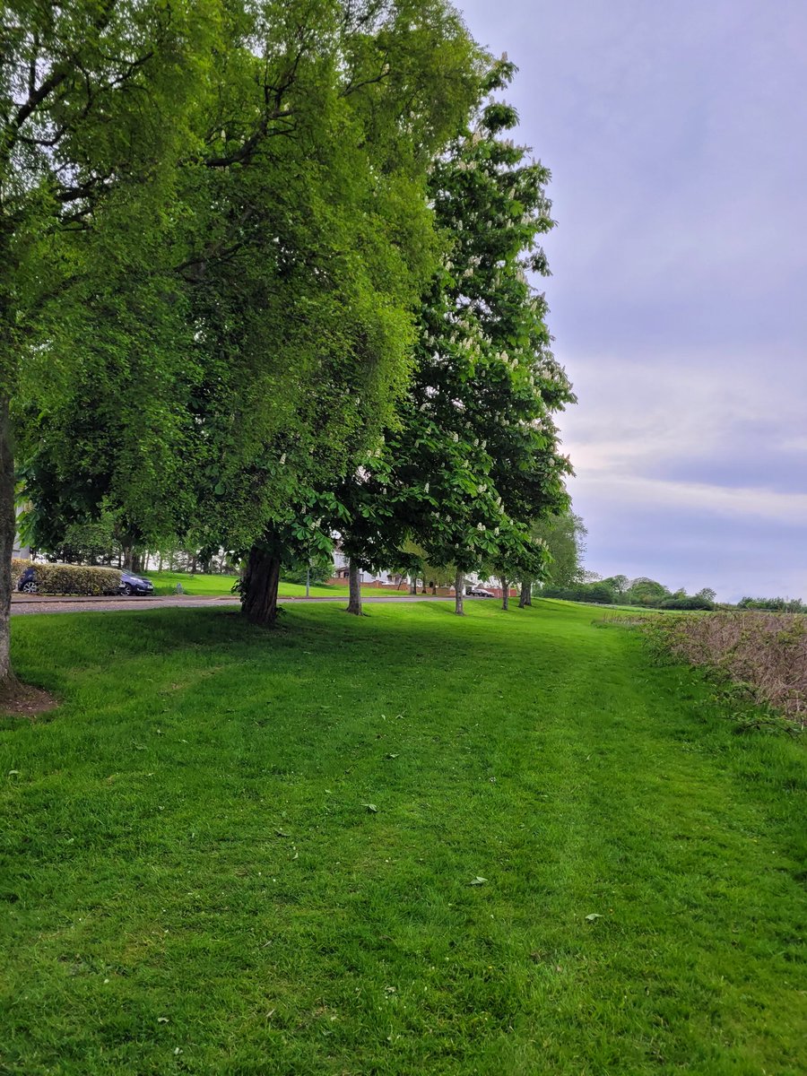 We are trying to protect the green space on our street being developed for more houses   it's  been sold to a housing developer and we are exp. a planning application request soon   if you have any planning experience  or if you use the land we would love to hear from you