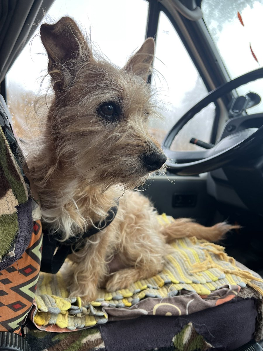 the exPAWers tweet media