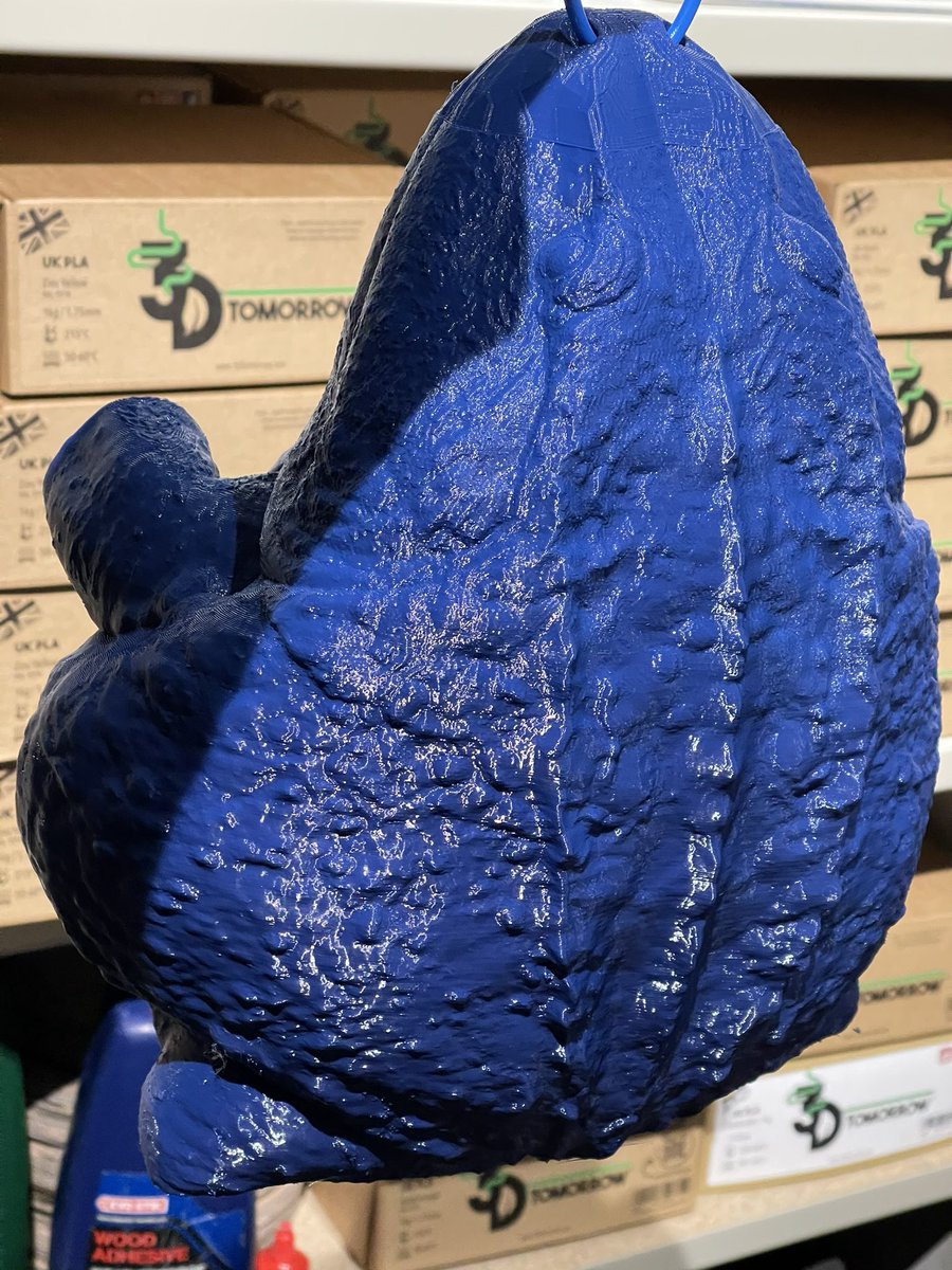 Who’s watching #PrehistoricPlanet2 👀 
It’s awesome to see some of the dinos we #3DPrinted back in 2021 come to life through the magic of CGI! Here’s the Beelzebefo and it’s chroma key blue scale model 🐸