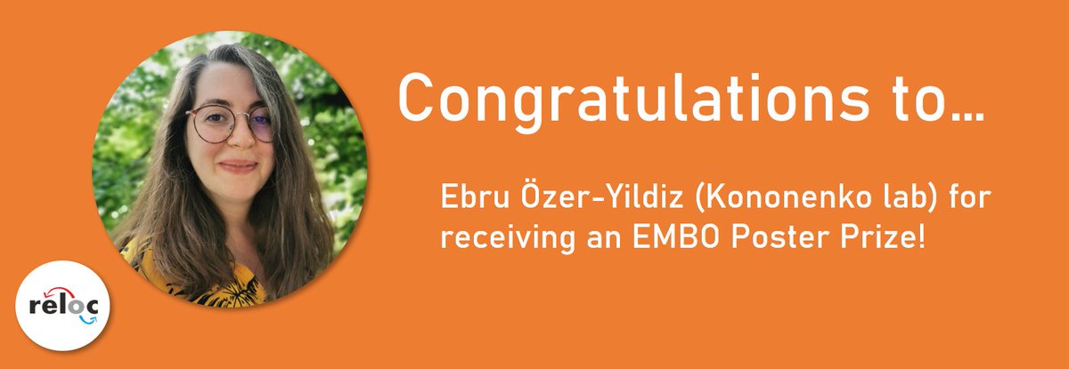 rtg_reloc's tweet photo. Congratulations to Ebru (@EbruOze55936037) from the @KononenkoLab! She won a poster prize at the EMBO Workshop “Cell biology of the nervous system: Long-term resilience and vulnerability” in Greece!
Well done Ebru! 👏
@EMBOevents @UniCologne
#EMBOnervousSys23 #rtgreloc https://t.co/9ccRlLDL7Q