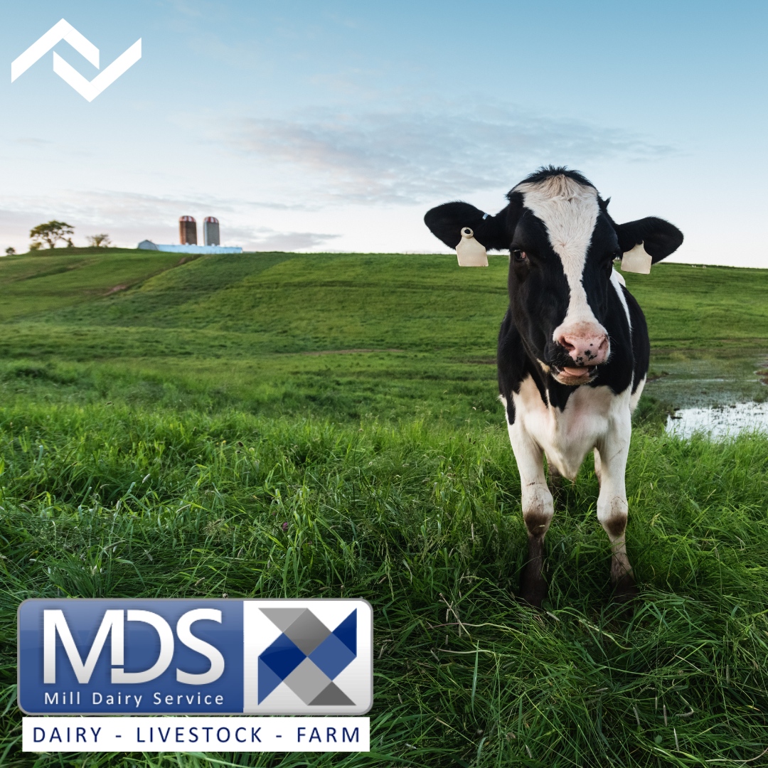 due_trade's tweet photo. Our new product will be launching soon &amp; we’re so excited to announce that Mill Dairy Service has signed up to use the product!

Interested in joining Mill Dairy Service, and others, in offering your customers an easier way to buy from you? Email us at sales@duetrade.co.uk #b2b https://t.co/rGfthzdjbs