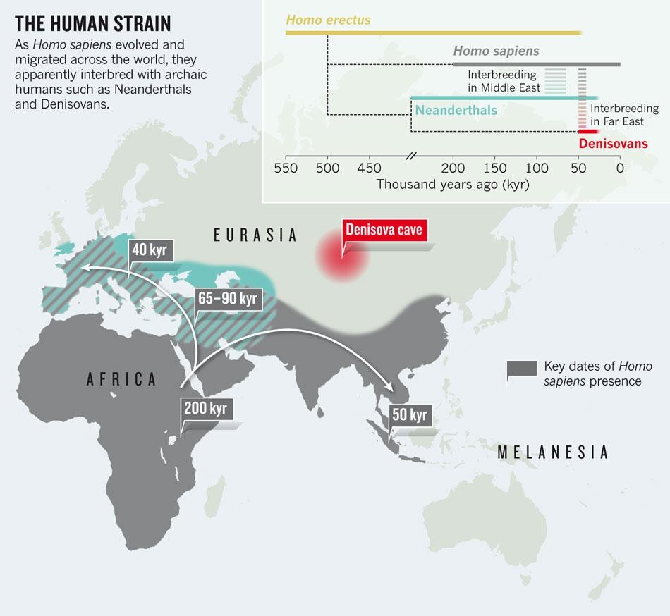 Denisovans [Context: Nobel Prize 2022]

-Archaic human species, found in Denisova Cave, Siberia
-Shared last common ancestor with Neanderthals 
- Genome sequencing 2010 by Svante Paabo - Nobel Prize Medicine 2022

-Interbred with Homo sapiens & Neanderthals, contributed ~5% DNA…