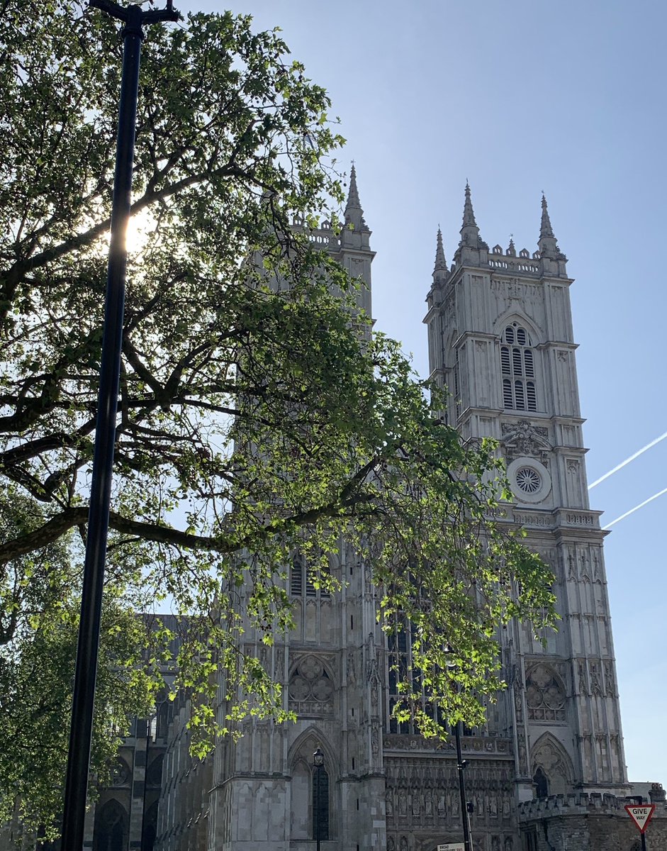 Lin Taylor tweet media