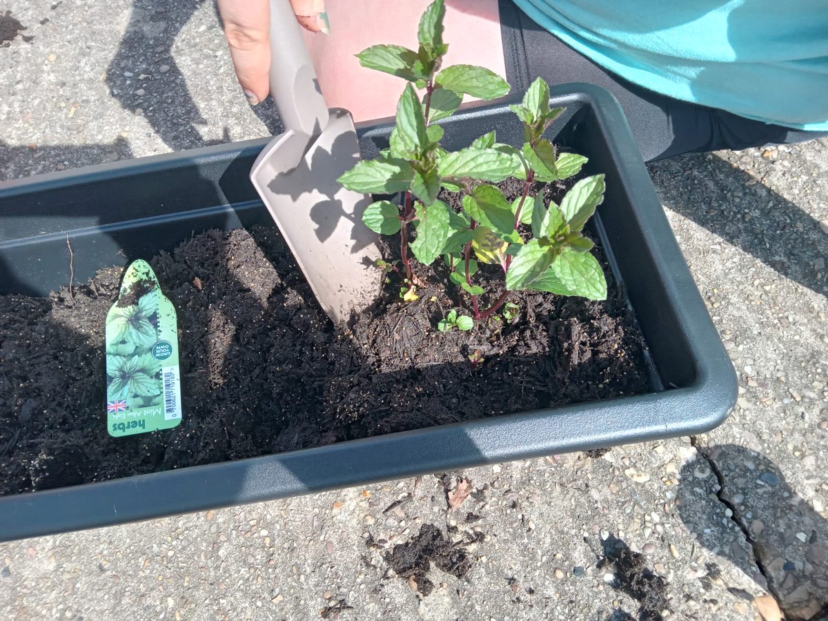 WKWTDunsmore's tweet photo. Another lovely afternoon with @CarersTrustHofE and @TheBradbyClub making window boxes for pollinators! There will be lots of happy bees around Rugby!
#GetTheBuzz #Network4Nature https://t.co/U0UWRpd41t