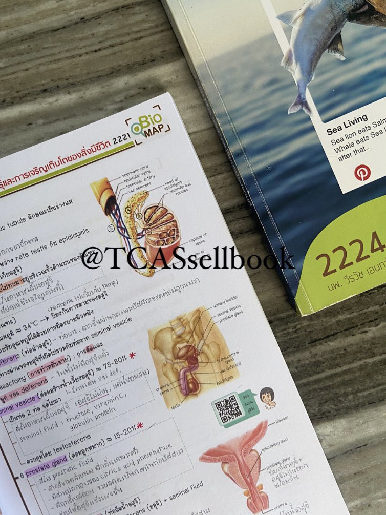 TCASsellbook's tweet photo. ชีววิทยา🧬 : OnDemand หนังสือแยกบทสภาพดี จดเป็นระเบียบ ลายมืออ่านง่าย ทักมาดูตัวอย่างก่อนได้ ราคาตามรูปเลย (ซื้อครบ 4 เล่มมีส่วนลดให้) #ตลาดนัดdek67 #dek67 #ส่งต่อหนังสือเตรียมสอบ #ออนดีมานด์ https://t.co/qIJY2kx2m0