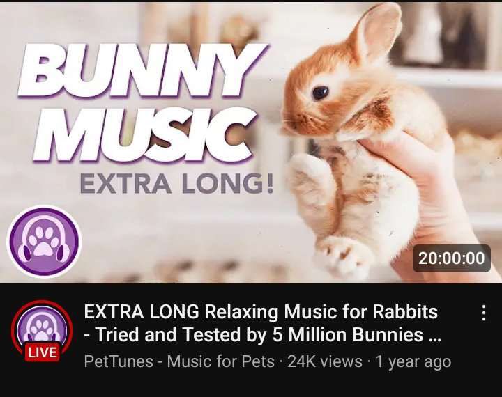 stomachbook66's tweet photo. i only listen to REAL music https://t.co/vjRmbm6NCg