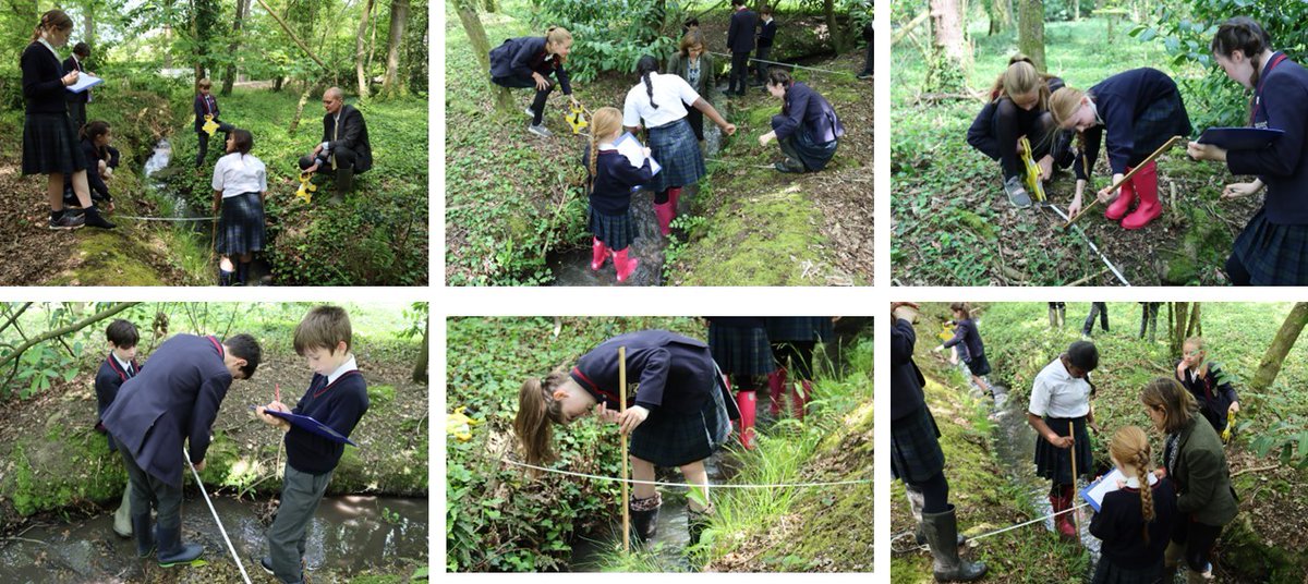 BallardSchool's tweet image. Our Y7 Geography pupils have been undertaking fieldwork, investigating how a stream’s cross section changes along its course. We are lucky to have a tributary of the Danes Stream running through the school grounds. #Geography #OutdoorLearning #InspiringTeaching #TheBallardWay
