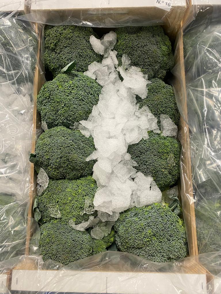 Fruco_plc's tweet photo. We have had an amazing broccoli season here at Fruco which has come to a close. We have received nothing but praise for our stunning AGROPACO broccoli. We are now switching over to carrots and leeks, they are looking 👌🏼 https://t.co/5YXe2JmyET