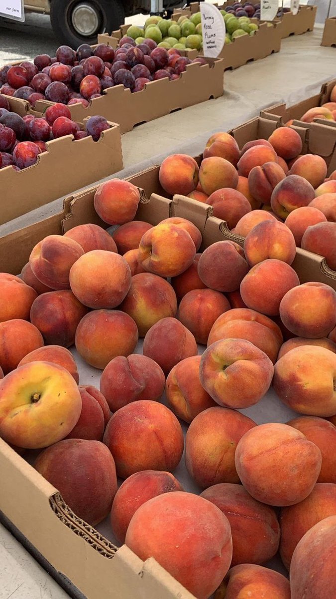 peach season approaching
