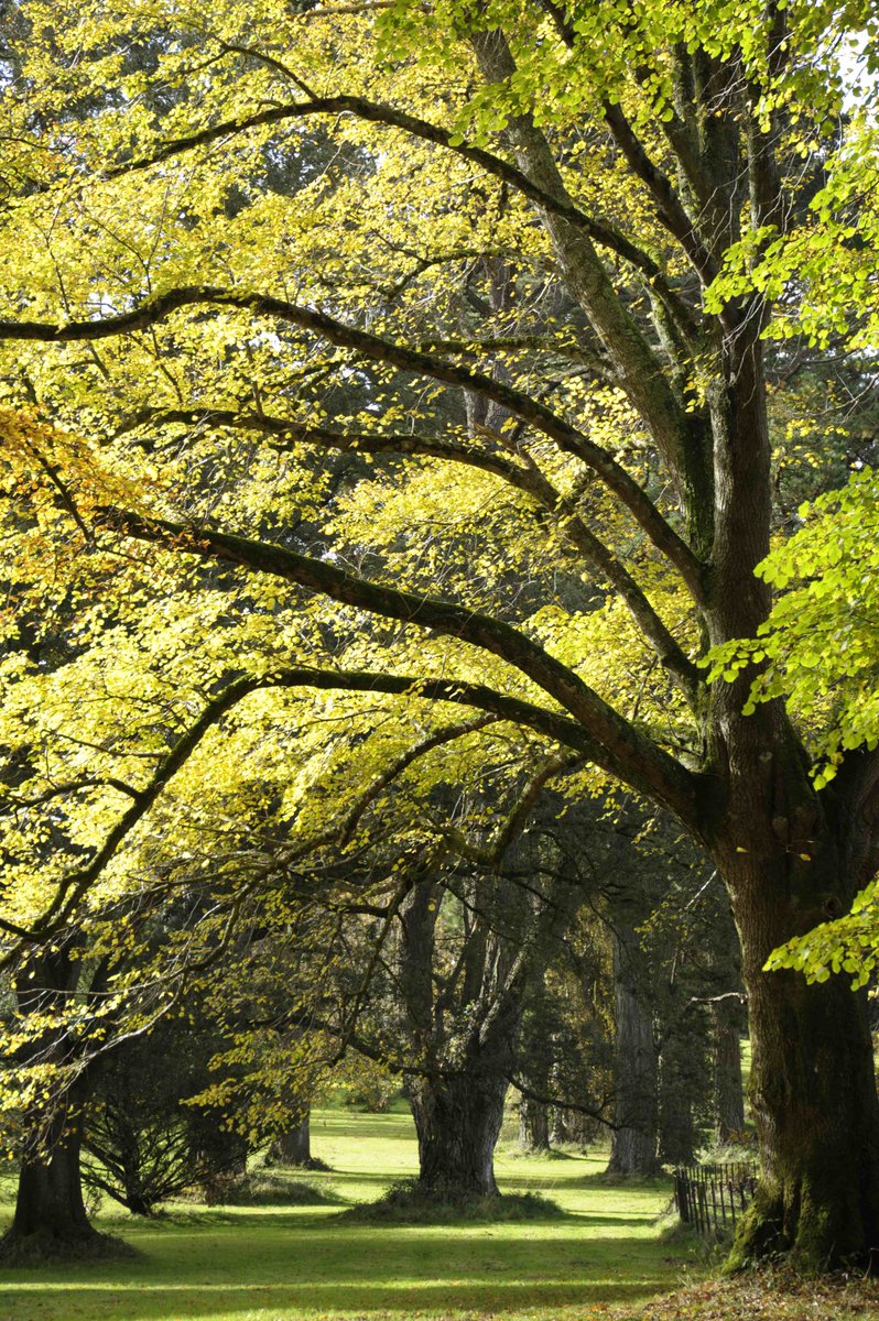 Cornwall Heritage Trust 〓〓 tweet media