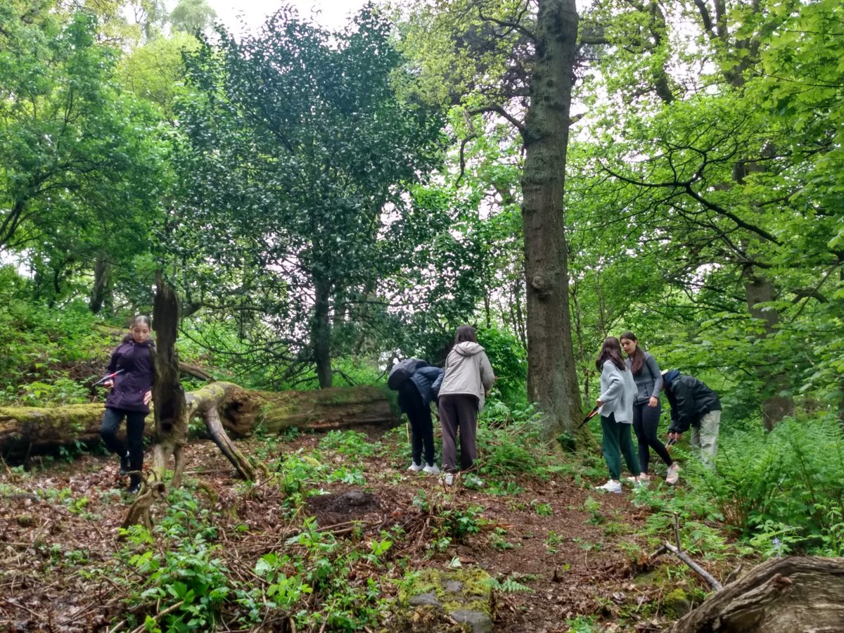 It was wonderful to welcome all 38 international students from @castrips to join us for a day of invasive species clearance on Corstorphine Hill. #climatechange #teamwork #outdoorlearning #sustainability #learningforsustainability #Edinburgh #lovenaturewithgreenteam