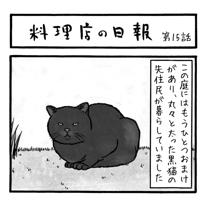 「料理店の日報」
第15話
どこの国にもネコに餌をあげるおばさんっていますよね

#料理店の日報 