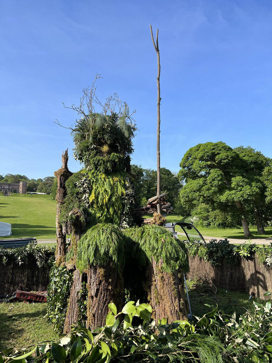 Checking out the green man at Mount Edgecombe this glorious morning. Make sure you visit the festival this weekend @MountEdgcumbe @visitplymouth