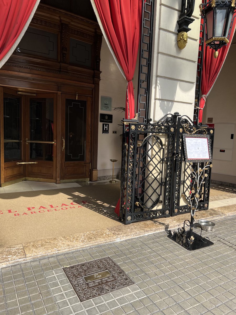 IWFS Global tweet media