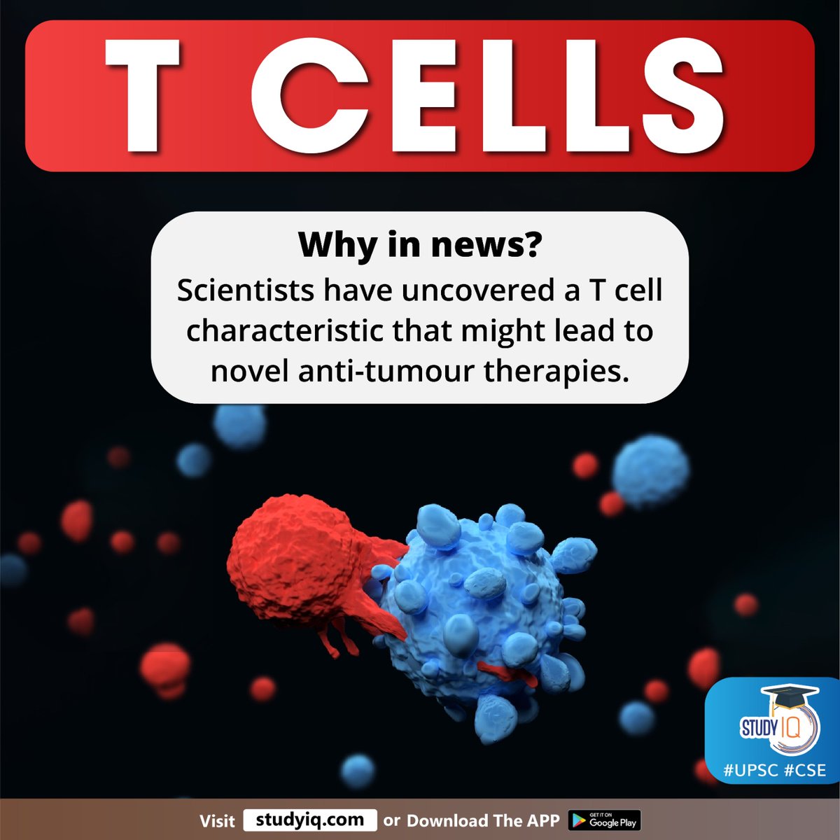 upsciq's tweet photo. T CELLS
#tcells #antitumourtherapies #lymphocyte #bloodcell #immunesystem #bcells #whyinnews #cancer #antibodies #cytotoxictcells #cd8 #cd4receptor #antigenpresenting #lymphorgans #upsc #cse #ips #ias https://t.co/DRSQUOYzOr