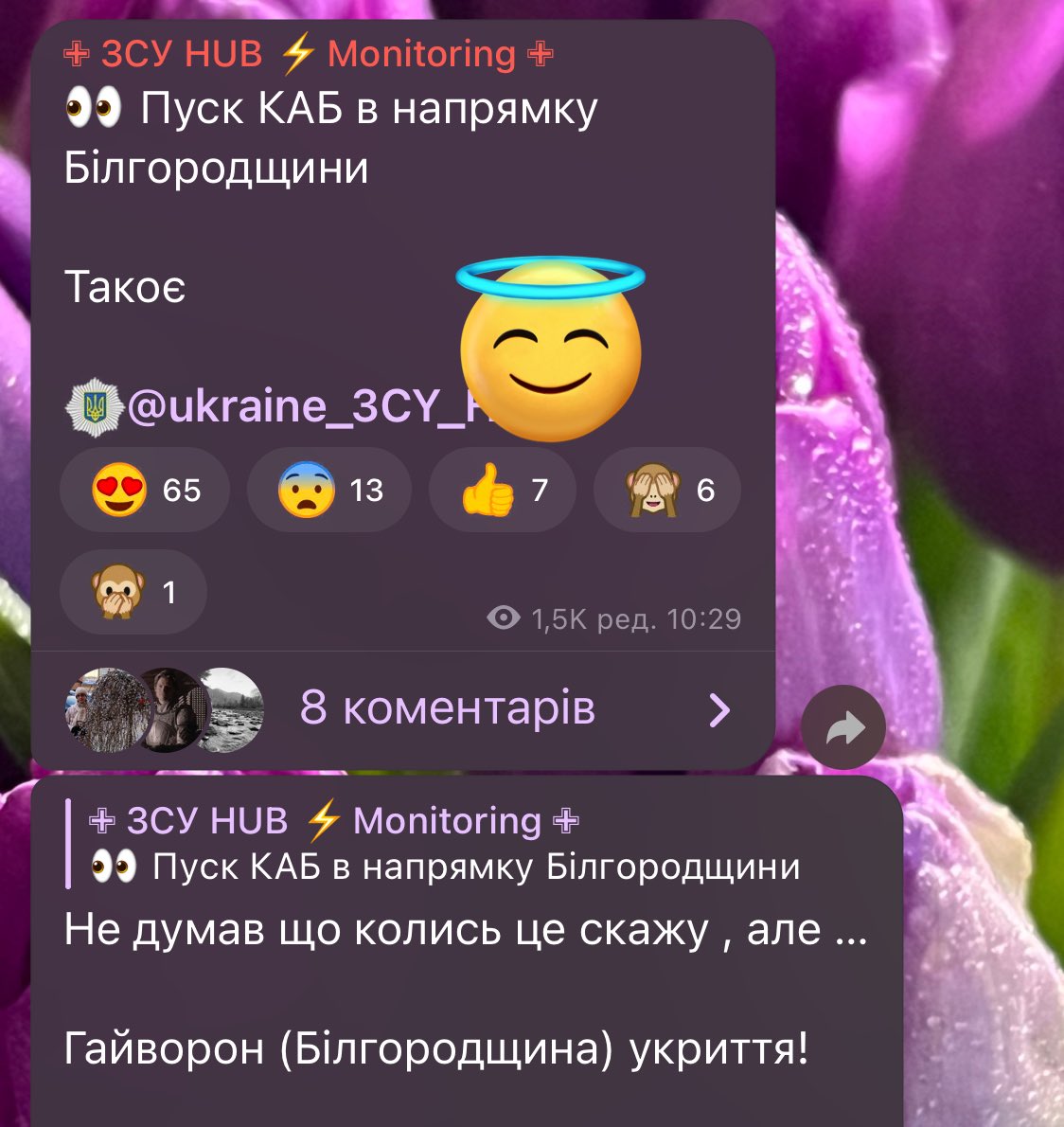 ya___super's tweet photo. вот так выглядит доброе утро https://t.co/By8QVueWW3