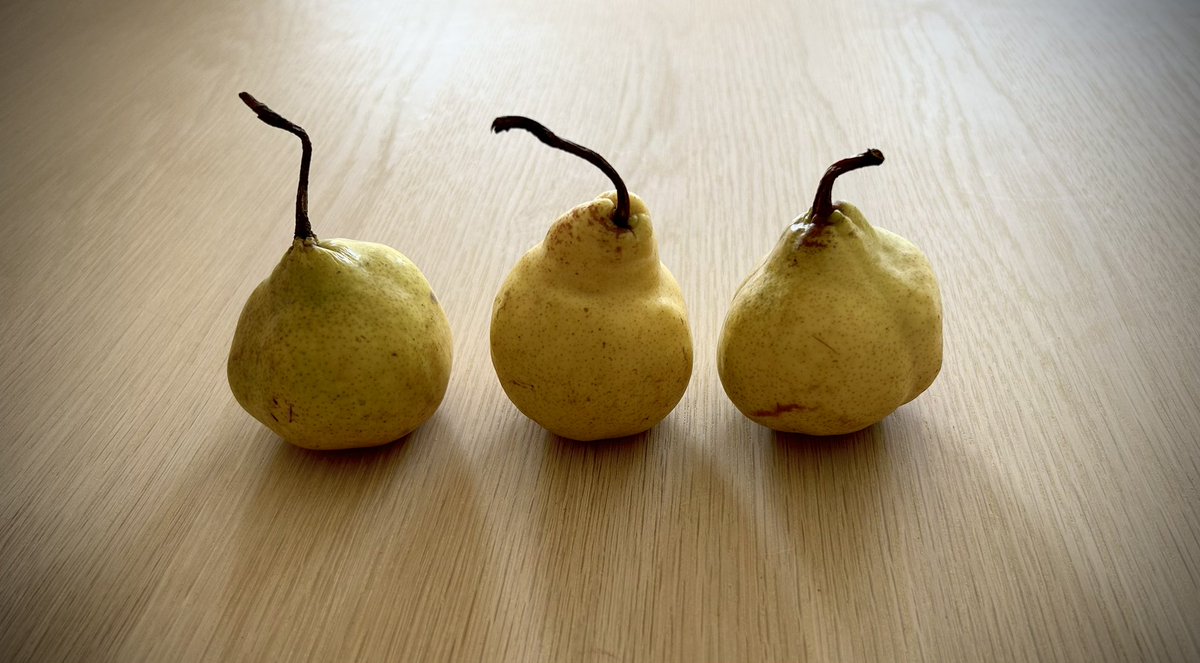 MariaStadnicka's tweet photo. New day #summer #kitchensanctuary #pear https://t.co/b1br2RUybG