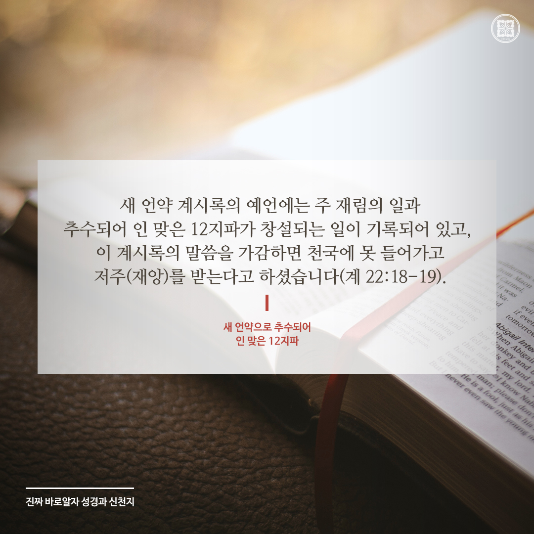 scjchurch's tweet photo. 새 언약으로 추수되어 인 맞은 12지파

✅ https://t.co/te0Q2LWkKp

#새언약 #추수 #진짜바로알자_성경과_신천지 #이만희_총회장님 #신천지_예수교회 #12지파 https://t.co/zUAGt7PNJY