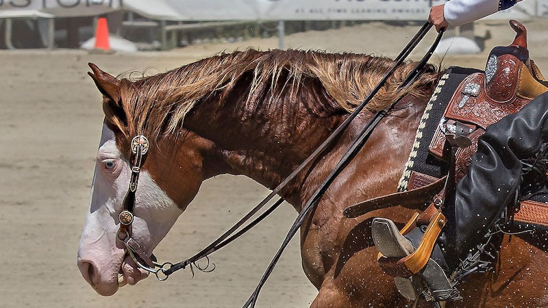 RunMillion tweet picture