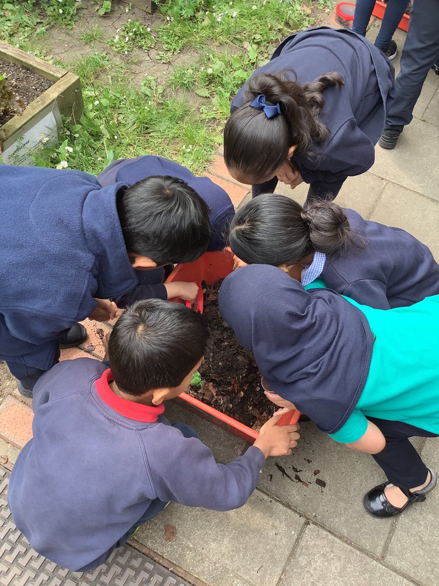 Halley Year 1 tweet media