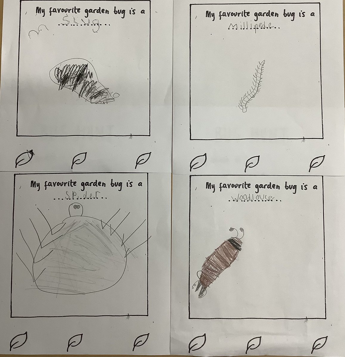 Halley Year 1 tweet media