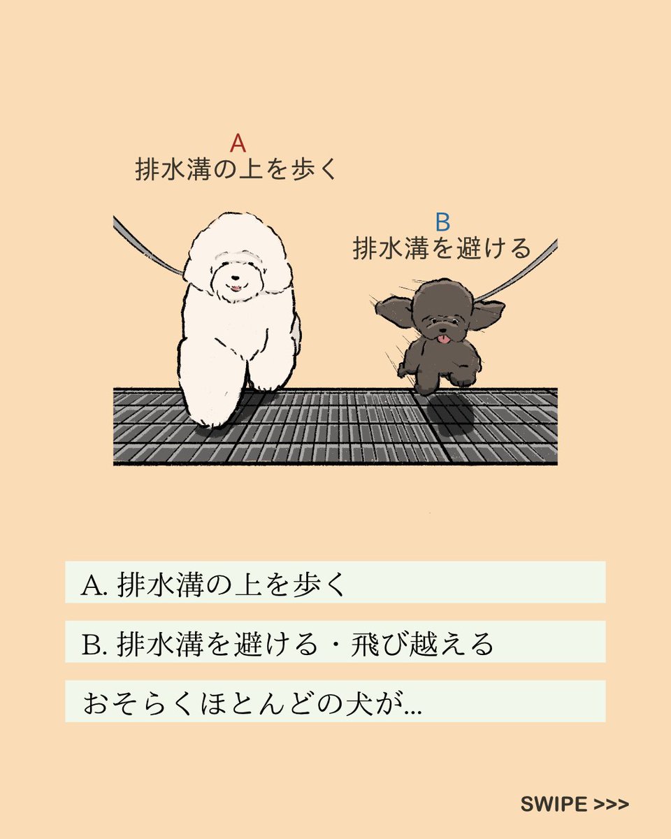 【#変な犬図鑑】 No.239 フミタクナイーヌ 排水溝を避けるあの犬です。