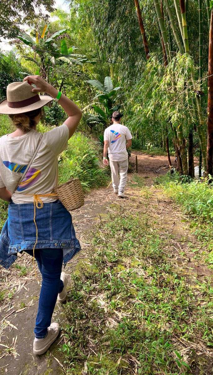 blesbow's tweet photo. Ema🌿: ¡Explorar la jungla con Max es una aventura increíble! Descubrimos plantas exóticas.Las camisetas de @Blesbow nos mantienen cómodos y conscientes del medio ambiente mientras admiramos la belleza de la naturaleza. #AventurasEnLaJungla #ModaSostenible #sonsatos #explore https://t.co/0BKN1KyhIr