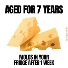 CheeseCompany1's tweet photo. The cheese isn't cheesing🤔 https://t.co/QM90PRVVtY