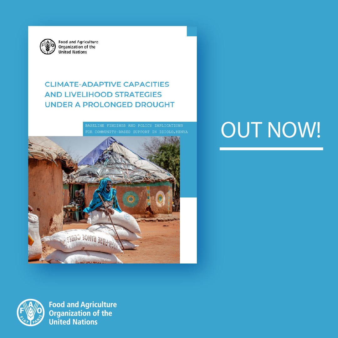 FAOSocioEcon's tweet photo. In Kenya🇰🇪, promoting #ClimateAdaptive practices can improve household welfare &amp; resilience in the face of negative climate shocks.

Read more about it in the 🆕 @FAO working paper

👉https://t.co/kAYM09fbUl https://t.co/V1fnVNioT4