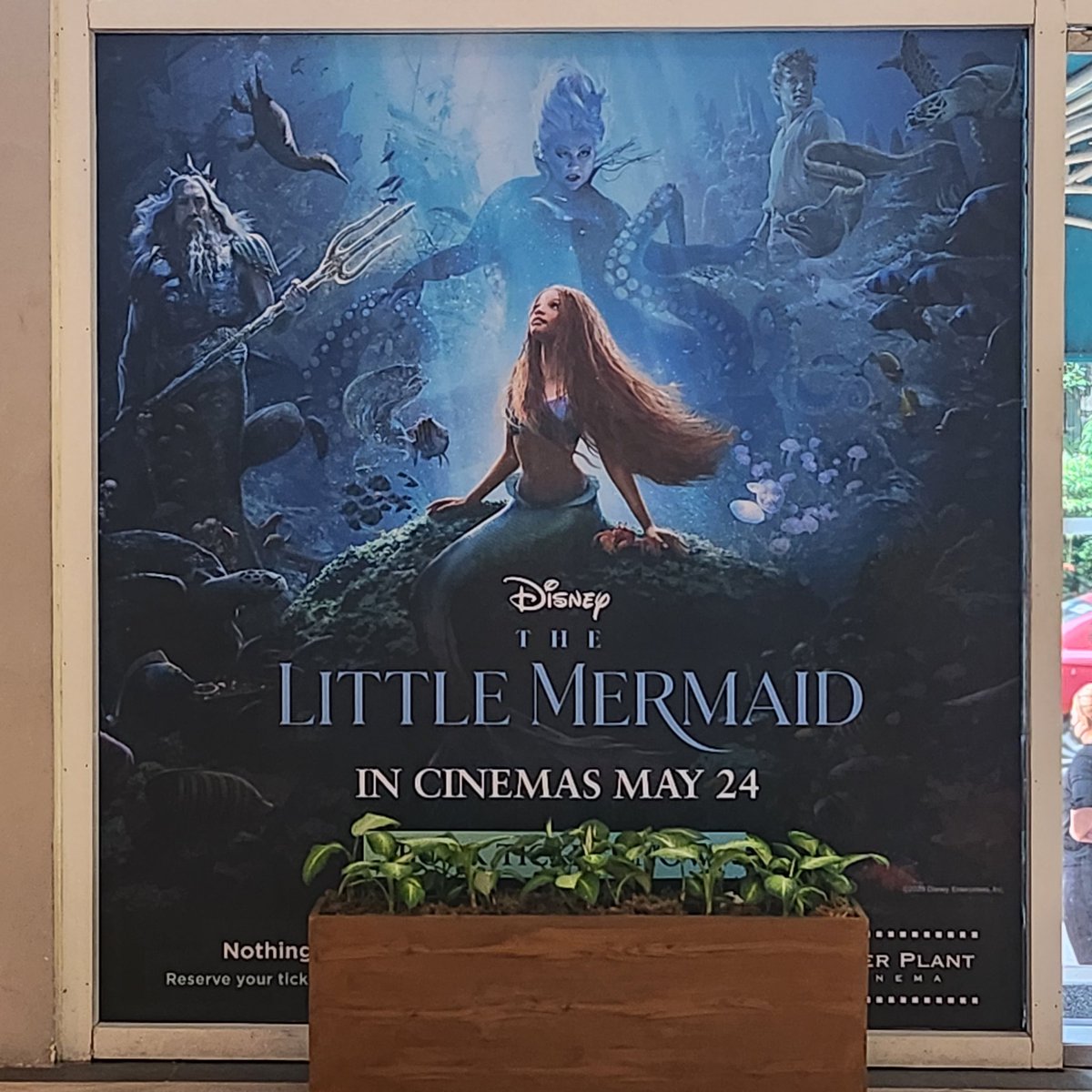 jinpolwantri's tweet photo. #WatchAndYoullSee #SomedayIllBe #PartOfYourWorld #Ariel #TheLittleMermaid
โYou shouldnโt have to give up your voice to be heard.โ #KingTriton #ArielsDad
#PrinceEric #DashingPrince
#Ursula #SeaWitch
#SebastianTheCrab #CrabAdvisor
#Scuttle #BirdBestie
#Flounder #FinnedFriend https://t.co/4smSD17dMa