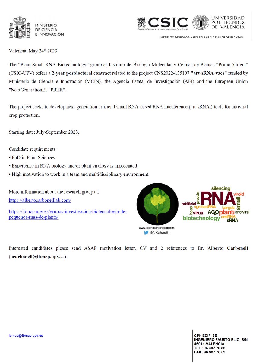 bioamara's tweet photo. En mi instituto @IBMCP #Valencia ofrecemos un contrato postdoctoral de 2 años para trabajar en #PlantBiotech #RNA
Es un buen grupo y un instituto de referencia en investigación en plantas. #job #postdoct #oferta #research
Hacedlo llegar a quien pueda estar interesado. Gracias! https://t.co/xbmkkPstMz