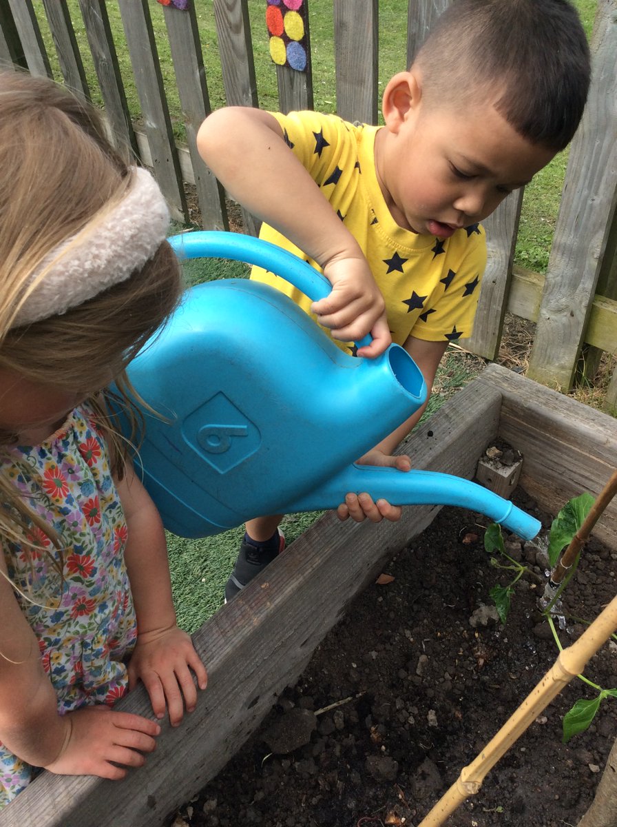 Pudsey_Primrose's tweet photo. As our nursery children learn more about the wildlife in our gardens, they have been growing plants from seed to add to the nursery garden.  Bean seeds have sprouted into plants which the children have planted into the nursery vegetable garden. #saveourinsects #gardening #The_RHS https://t.co/XngvxFbWFT