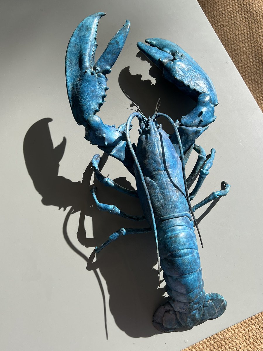 HMackieSculptor's tweet image. Lobster 2023 basking in the sun on the desk @the_rhs Chelsea Flower Show this morning.

Stand RHW/292

hamishmackie.com/sculptures/lob…

 #chelseaflowershow #lobster #lifecast #sculpture #bronzeart #bronzestatue #artwork #statue #exhibition #thisweek #sunnyday #artcollector