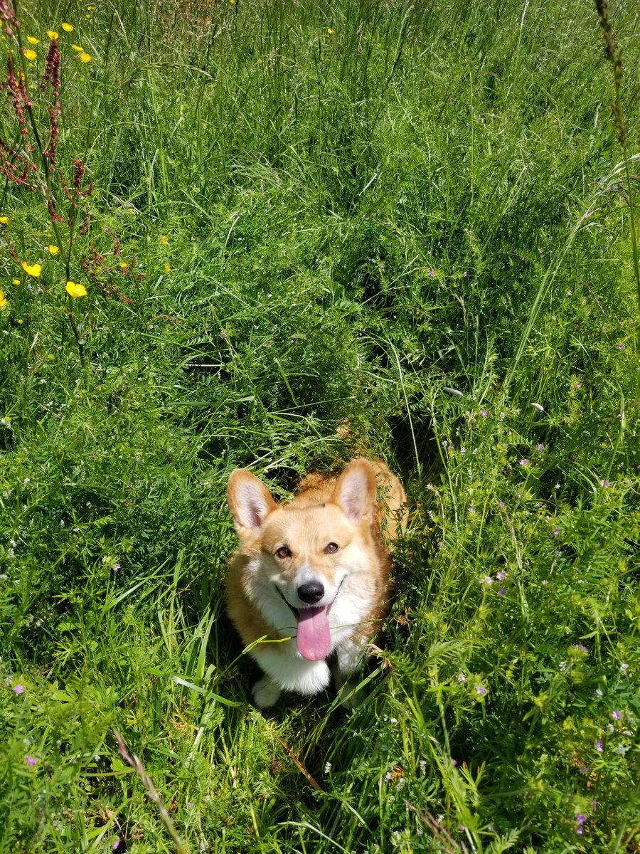 Milton Hic tweet media