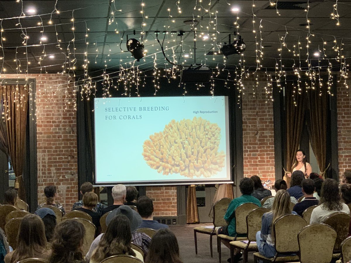 #PintAU23’s final night off to a great start at the Brewery with a fantastic presentation on coral selective breeding by Alexis! 
🪸🧬🚀
@jcu @aims_gov_au @SeaSim_AIMS @pintofscienceAU @pintsworld
