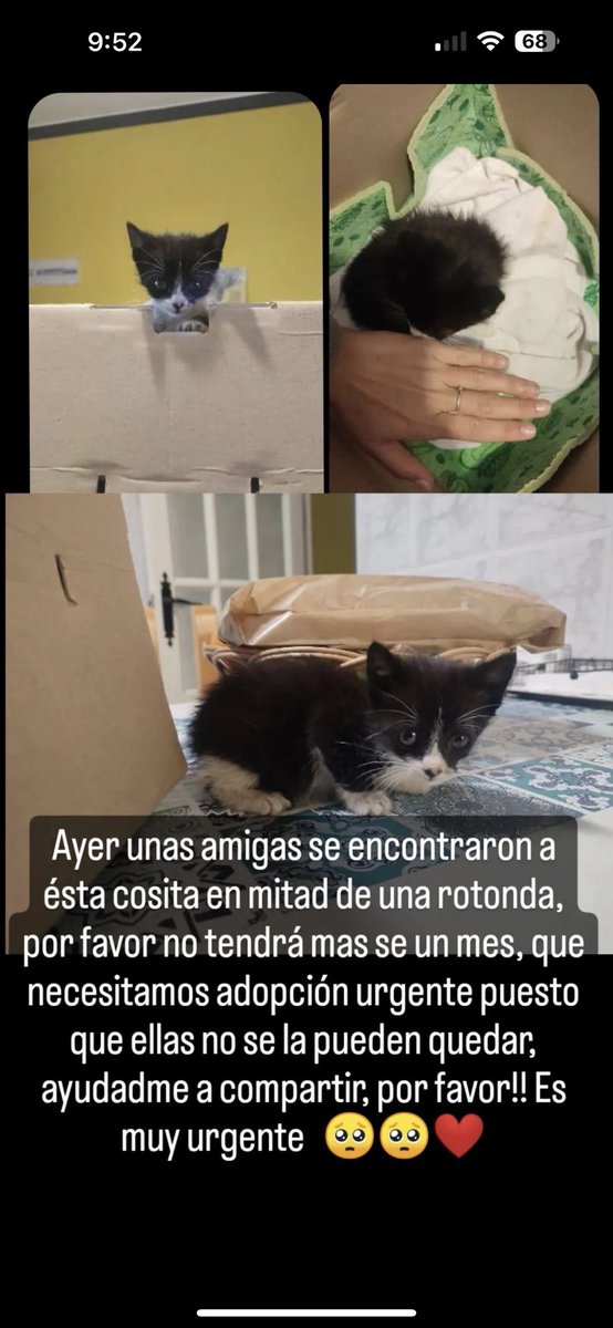 Enebeeme8's tweet photo. Compartid por fa 🥺🤞🏼 https://t.co/IbEmN7XxLN