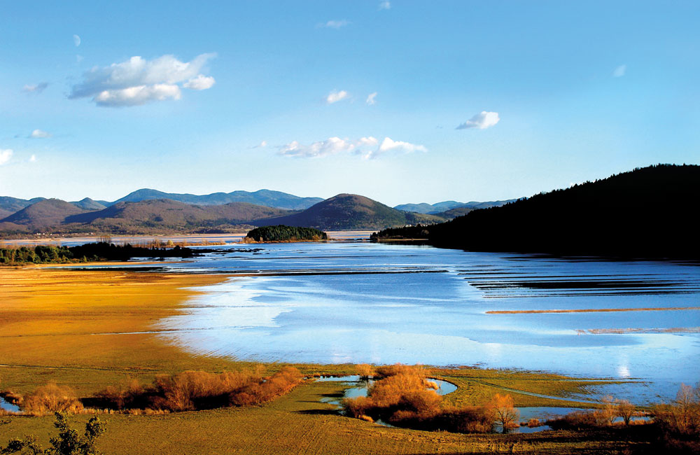 Radio Si tweet media