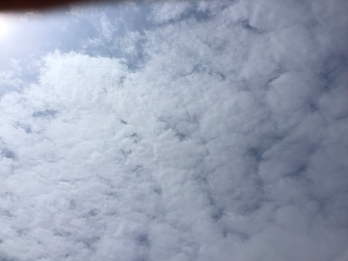 bps_Y1's tweet photo. Year 1 loved going on a cloud scavenger hunt and painting a sky picture. https://t.co/BYoR81ixjH