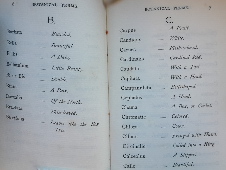 Lady Theodora Guest of Inwood House, Henstridge, wrote a short publication entitled 'Botanical Terms' and gave an inscribed copy to William Joseph Hester, her head gardener, in Jun 1906 #GardenHistory #Henstridge #GardenTwitter #ChelseaFlowerShow