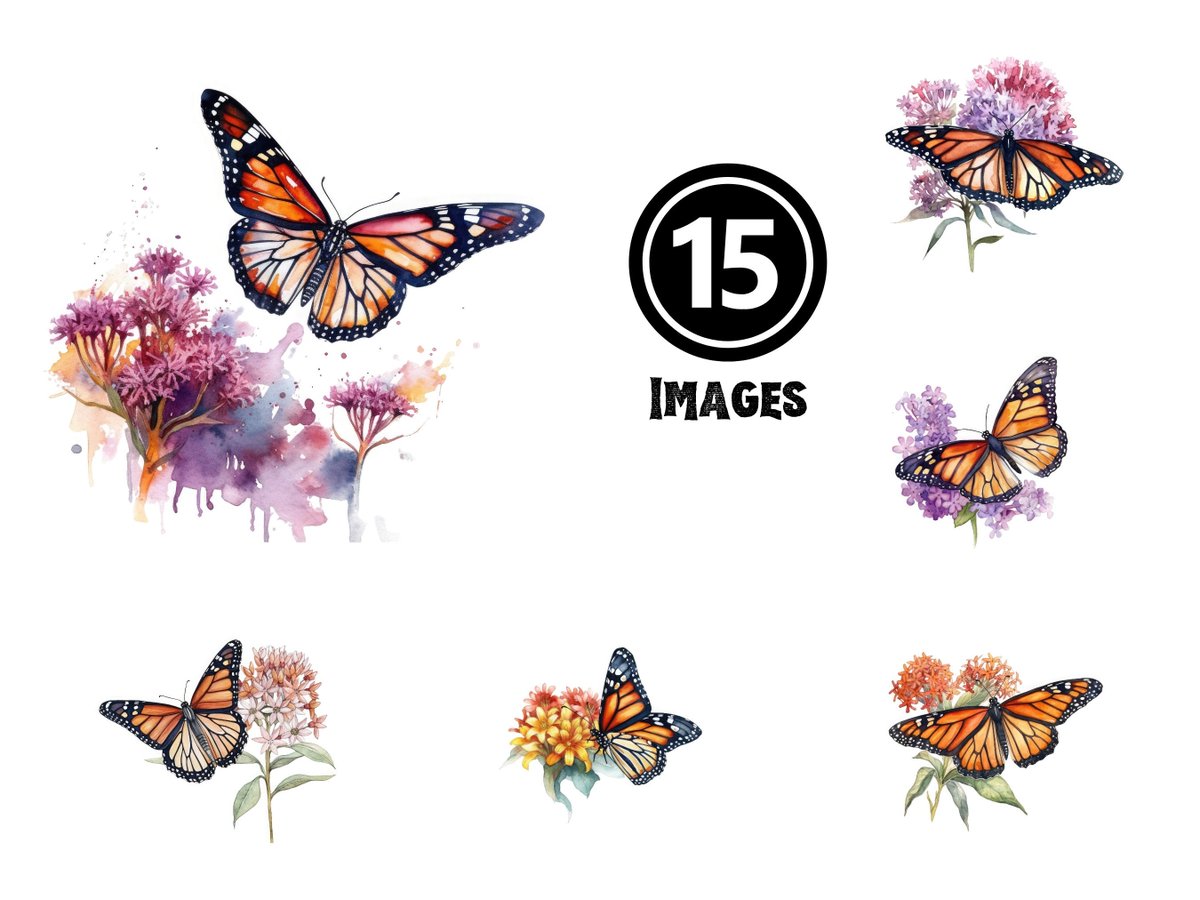 Monarch Butterfly Clipart, 15 Watercolor Butterfly JPG, Floral Clipart, Summer Clipart, Butterfly Painting, Lavender Plant etsy.me/3MuGyc8 #collage #animal #monarchbutterfly #butterflyclipart #watercolorbutterfly #butterflyjpg #floralclipart #summerclipart
