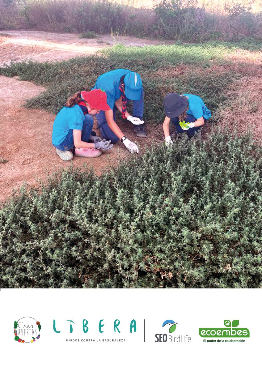 CreaHuertas's tweet photo. Recogida de residuos como parte del proyecto LIBERA 1m2 en el Paraje Natural del Guadalhorce, sábado 3 de junio.

¡Liberemos nuestros espacios naturales de  #basuraleza!

Actividad gratuita. Más info e inscripciones aquí: https://t.co/Qcc97mwOEQ

 #Libera1m2 #ProyectoLibera https://t.co/ZsUAL32nDa