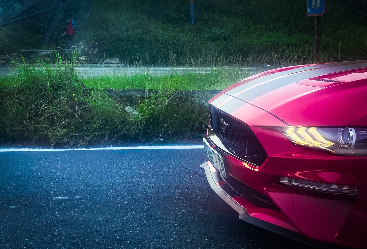 When you finally see the predator coming #phonephotography #mustang #aggresive #ford