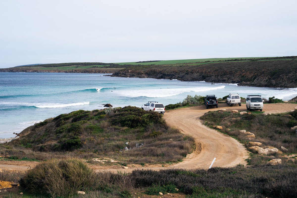 今日のLone Pineポイント