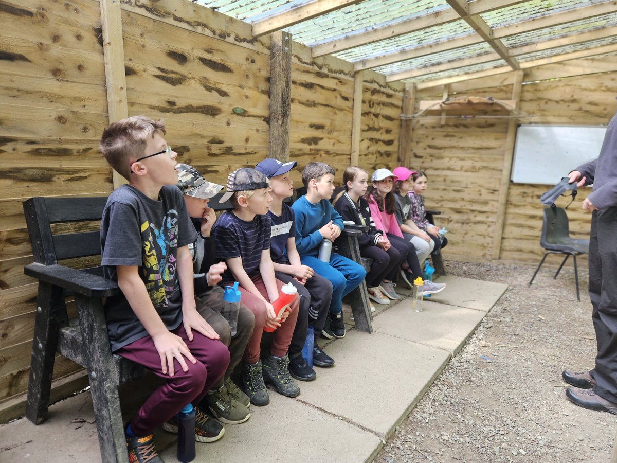 Northleigh Natterjacks tweet media