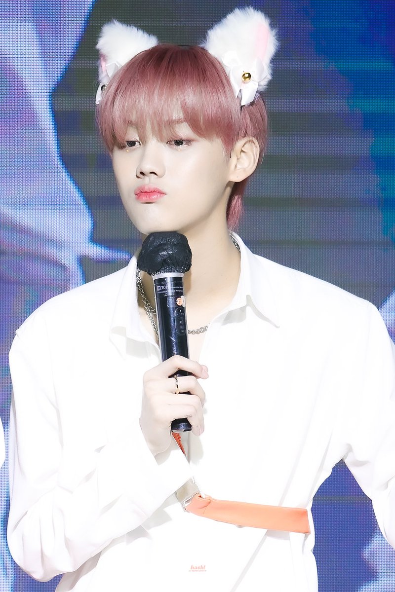 TAGGYUNIVERSE's tweet photo. 220522 cute cat 🥺🫶🏻

©️hash930

#염태균 #태그 #ไซเฟอร์ #TAG #TAEGYUN  #Ciipher #싸이퍼 https://t.co/2avzO0dkqd