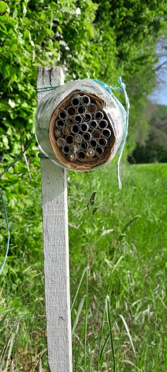 🐝 Un des nichoirs à abeilles solitaires installés dans le cadre du protocole Observatoire Agricole de la Biodiversite sur notre Ferme Expérimentale à Miermaigne commence à se remplir tout doucement 🌾

<a href="/MNHN_recherche/">Science & recherche au Muséum</a> @chambagri28